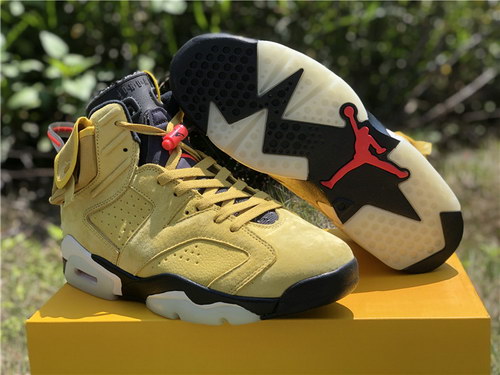 Air Jordan 6 x TS