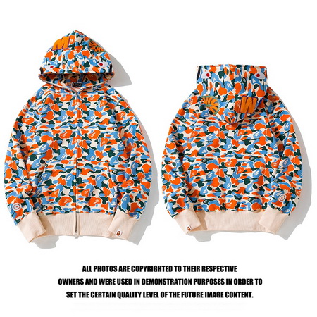 Bape Hoody-589