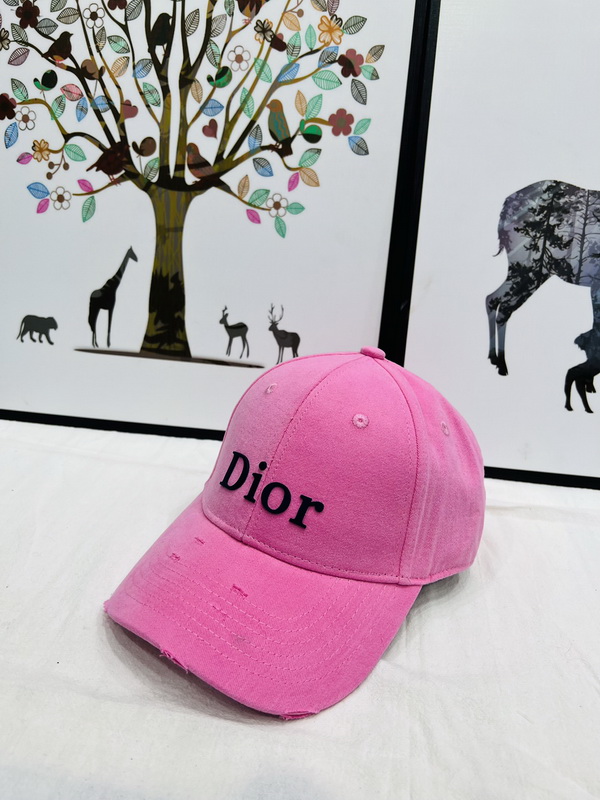 Dior Cap-365