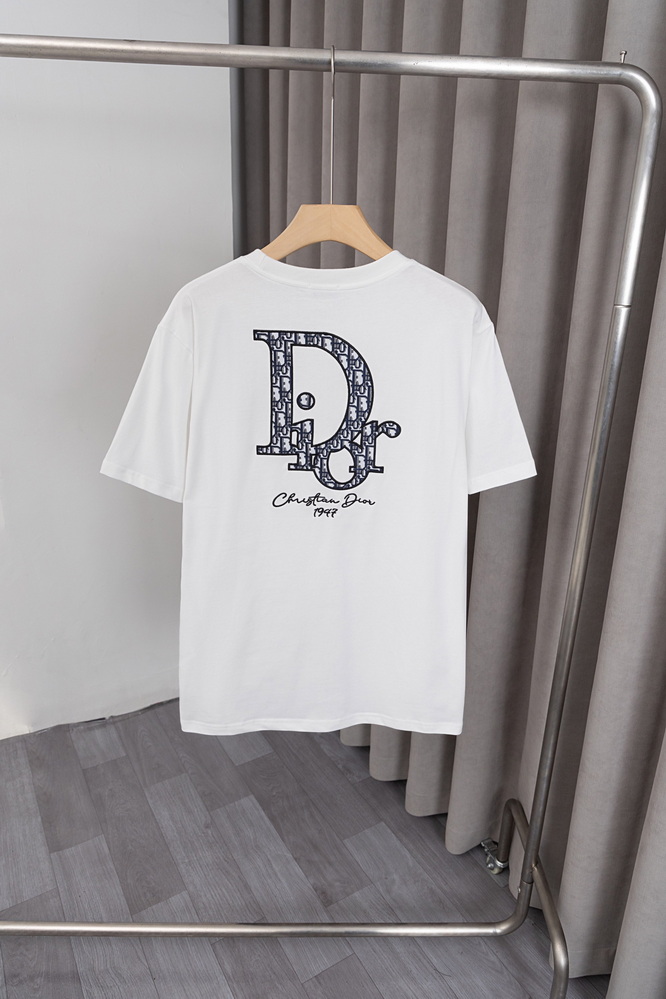DIOR T-shirts-161