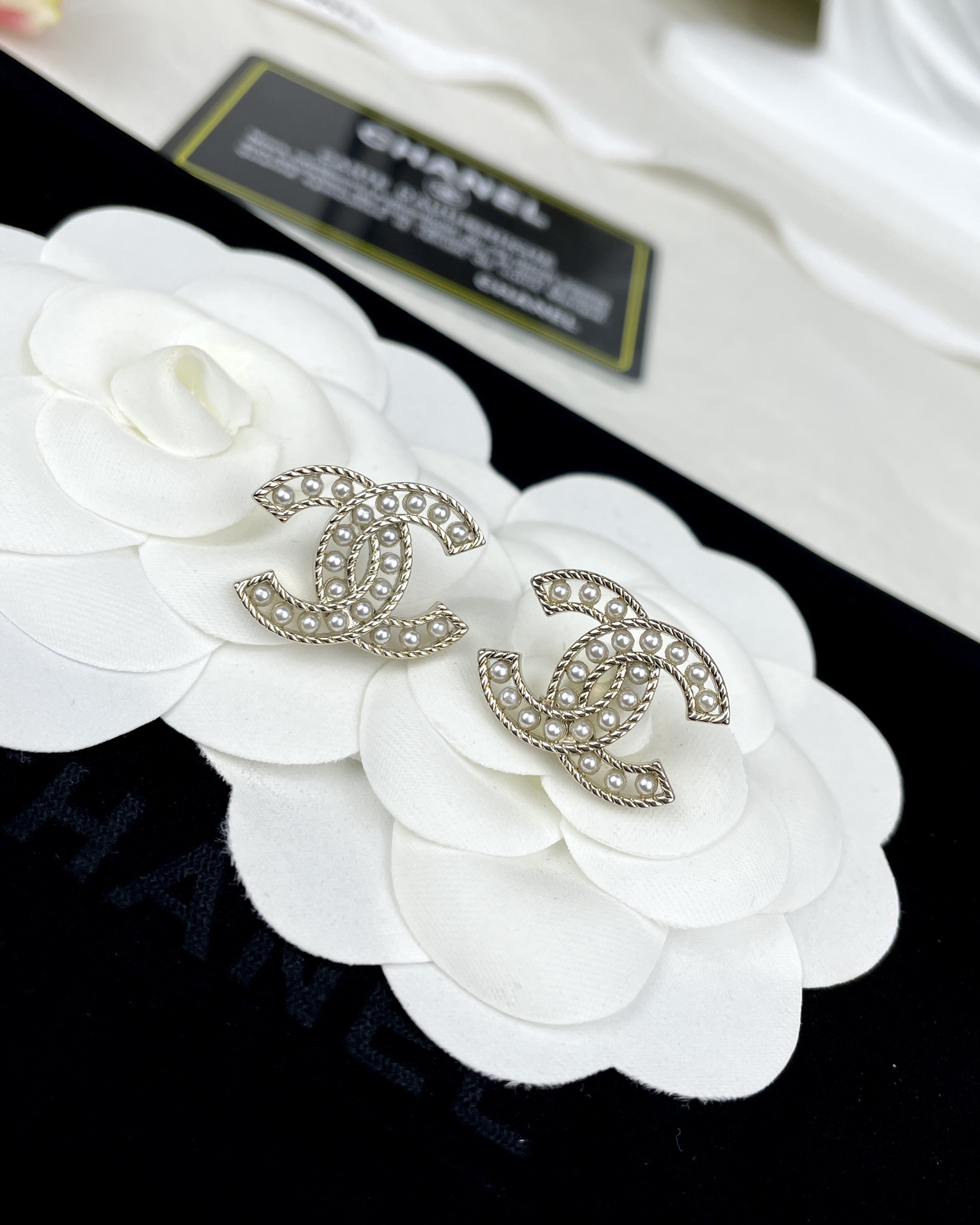 Bottega Veneta Earring-018