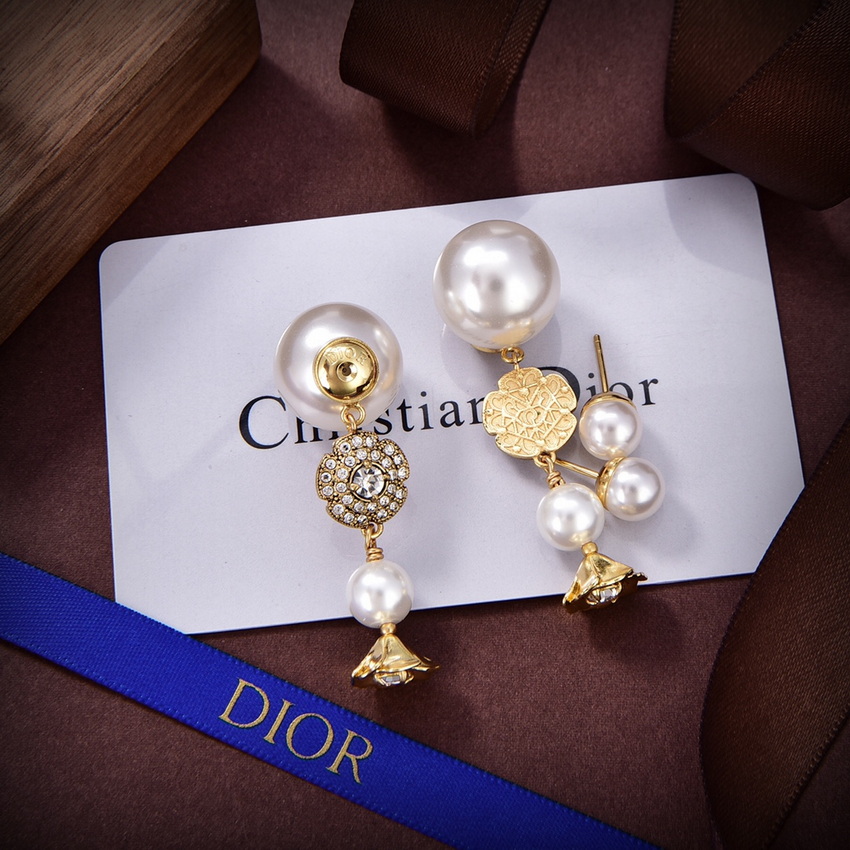 Dior Earrings-340