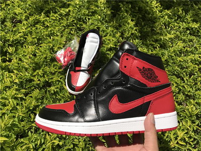 Air jordan 1s Homage To Home